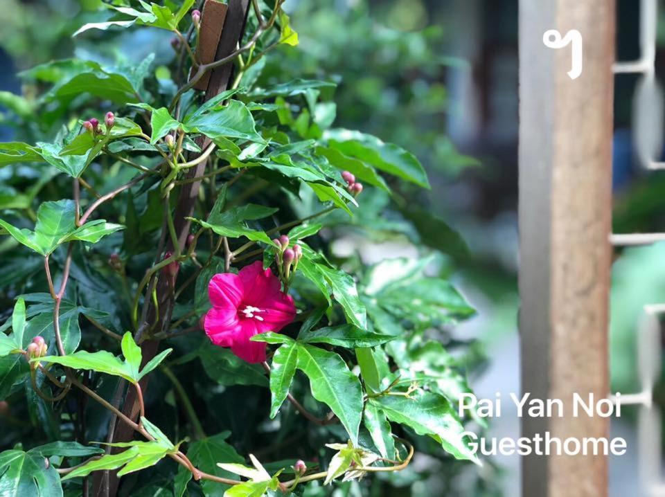 Paiyannoi Guesthome Chiang Mai Exterior foto