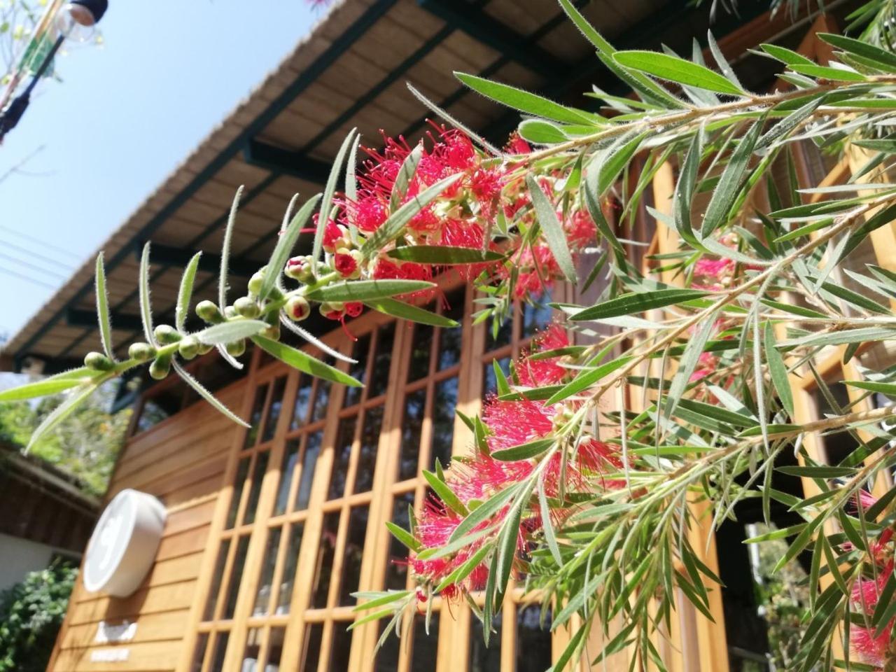 Paiyannoi Guesthome Chiang Mai Exterior foto